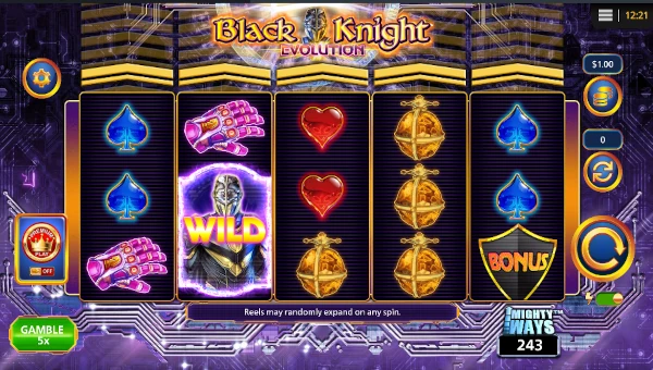 Black Knight Evolution gameplay screenshot